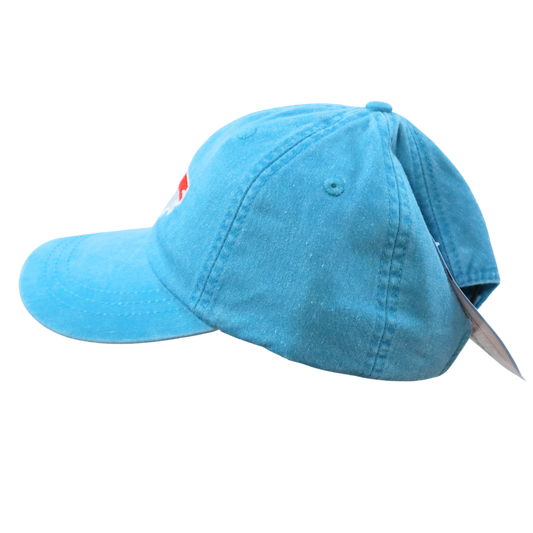Embroidered Hat * NC Flag Design * Caribbean Blue