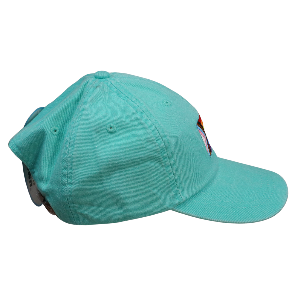 Embroidered Hat * Pride Progress Flag * Seafoam