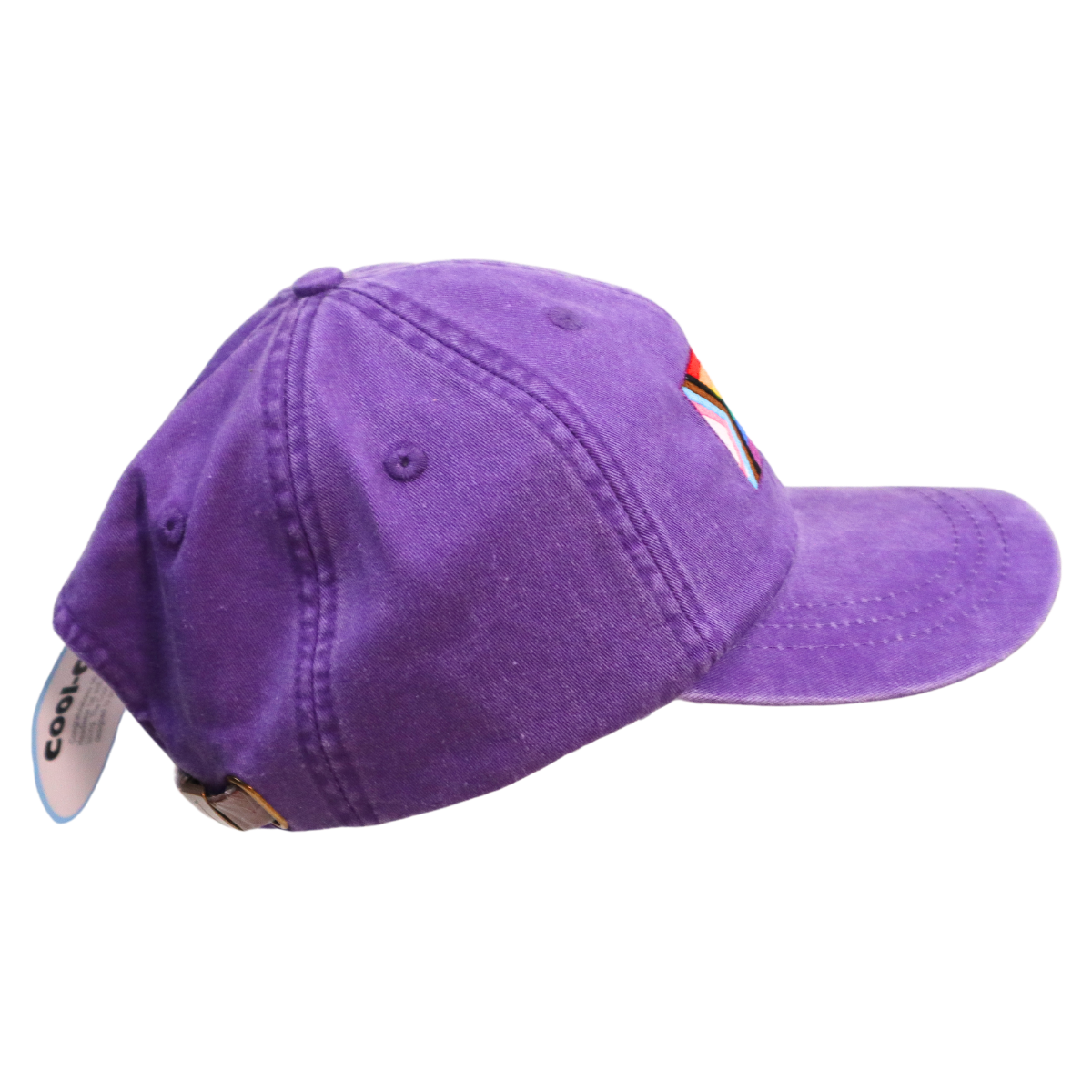 Embroidered Hat * Pride Progress Flag * Grape