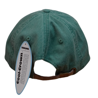Embroidered Hat * Pride Progress Flag * Forest Green