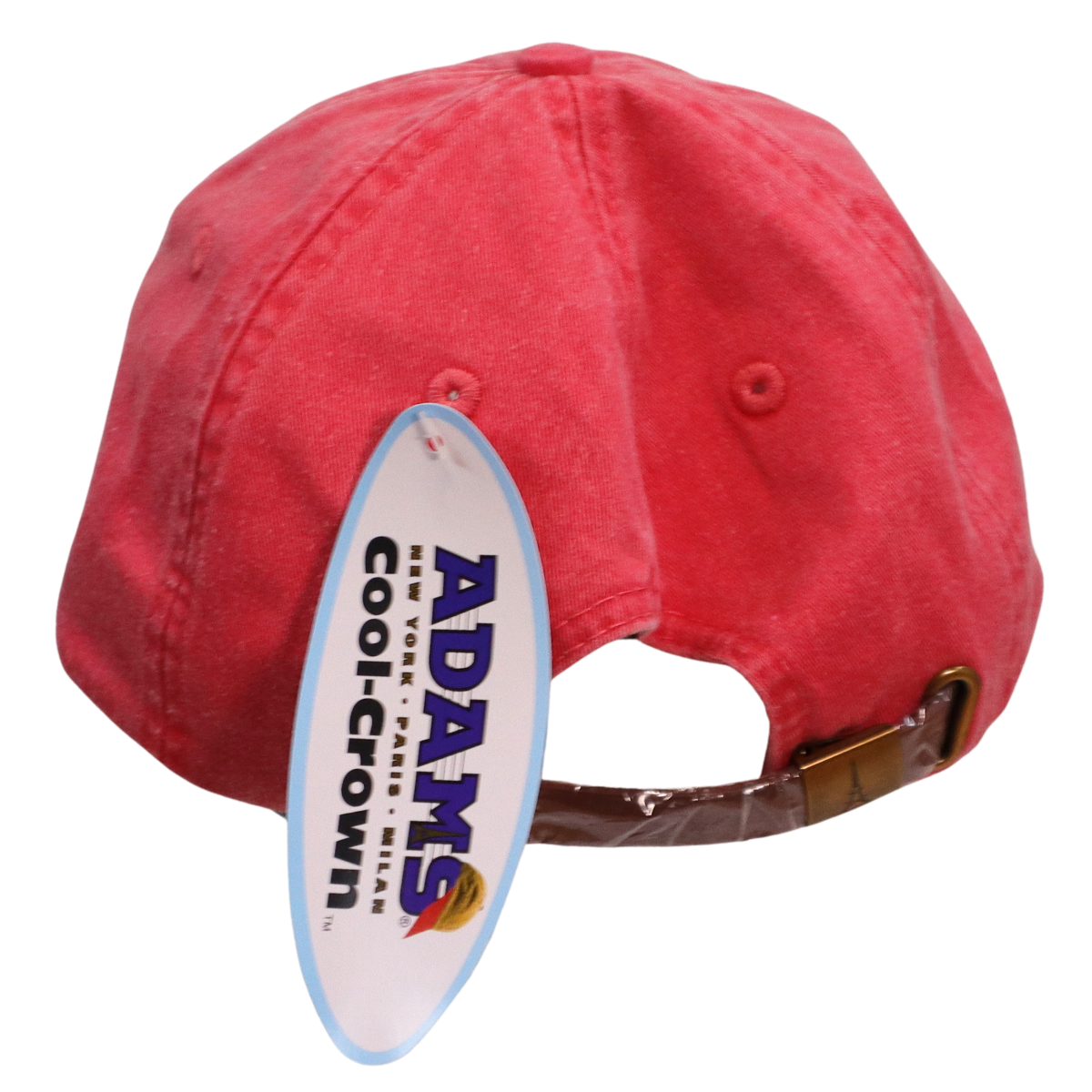 Embroidered Hat * Pride Progress Flag * Poppy