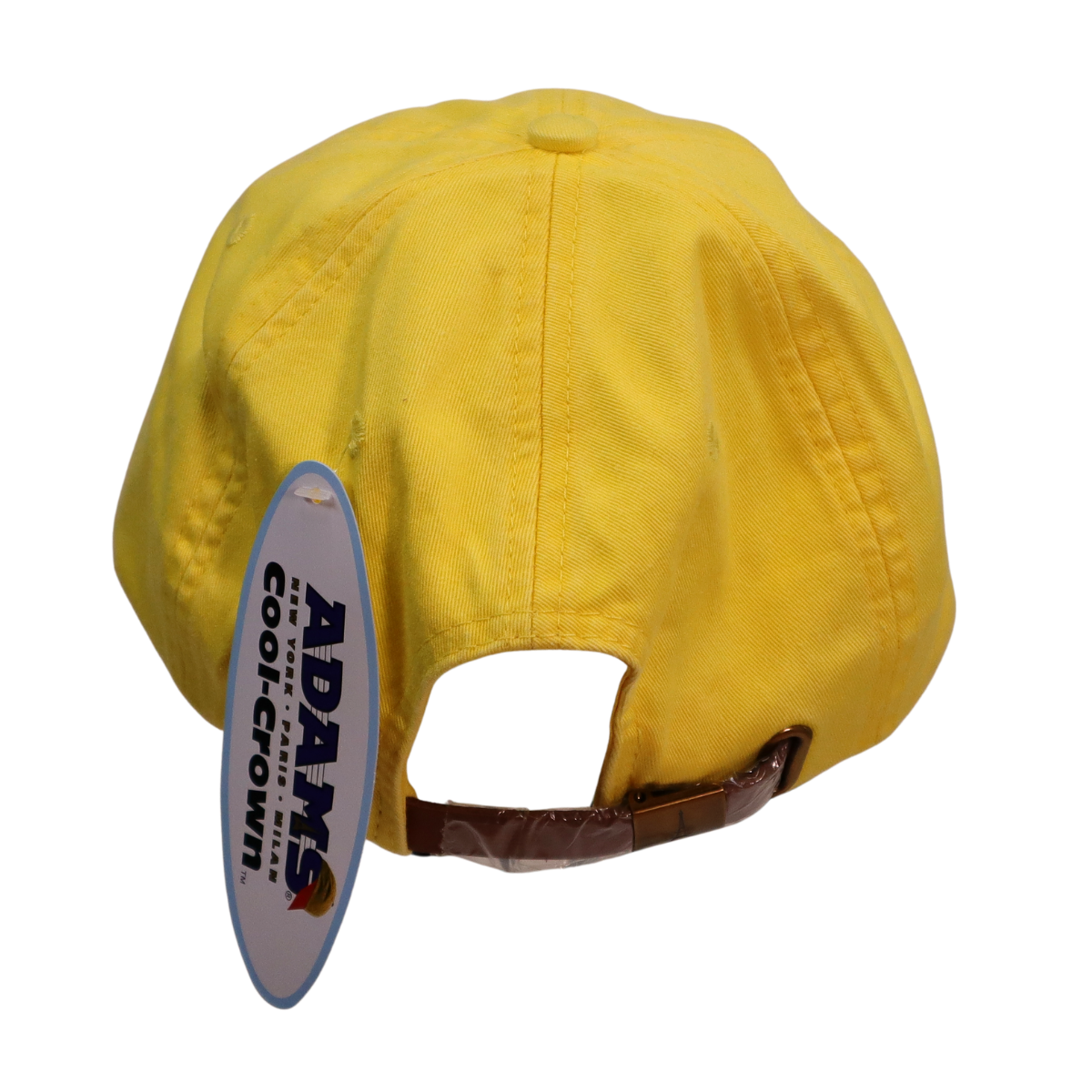 Embroidered Hat * Pride Progress Flag * Lemon