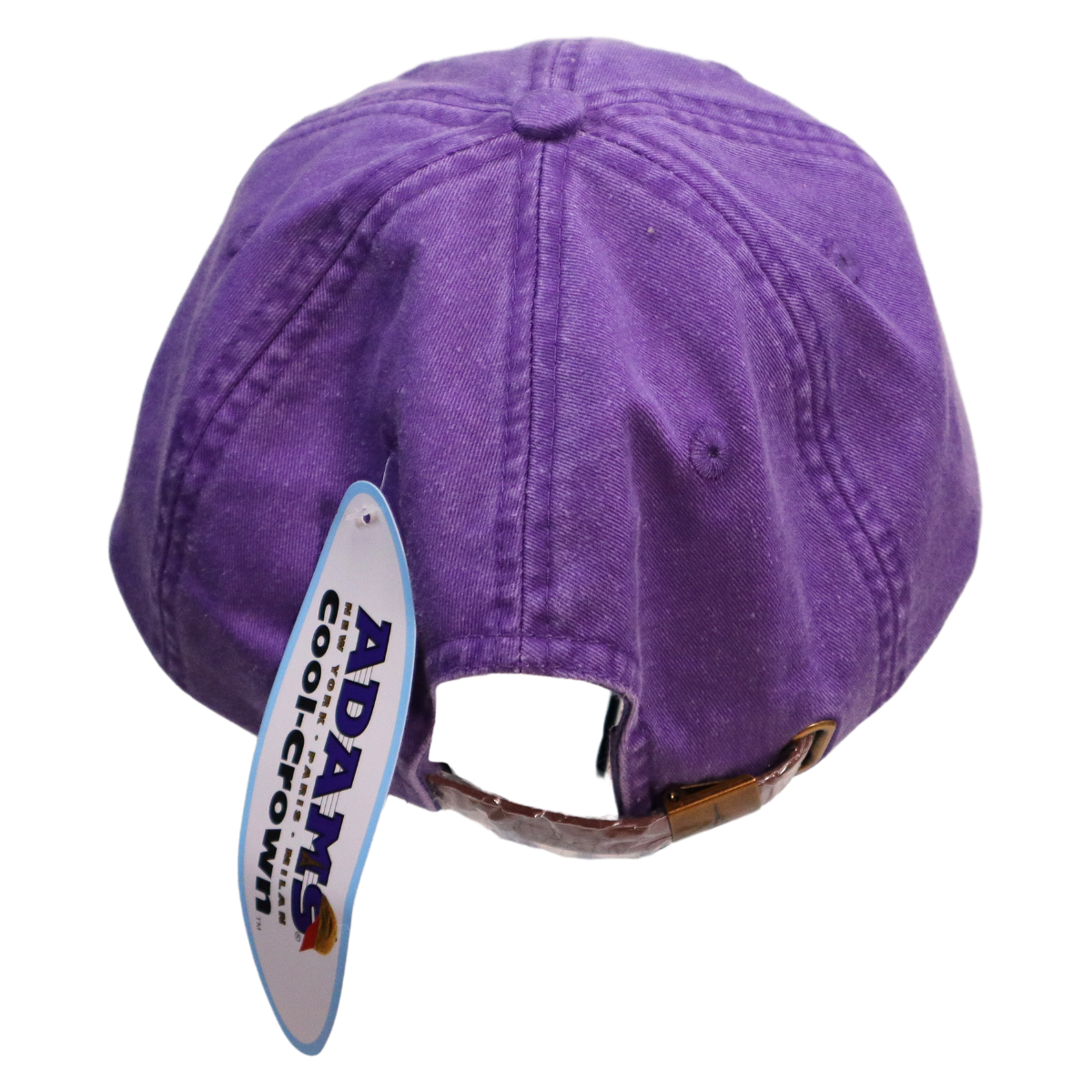 Embroidered Hat * Pride Progress Flag * Grape