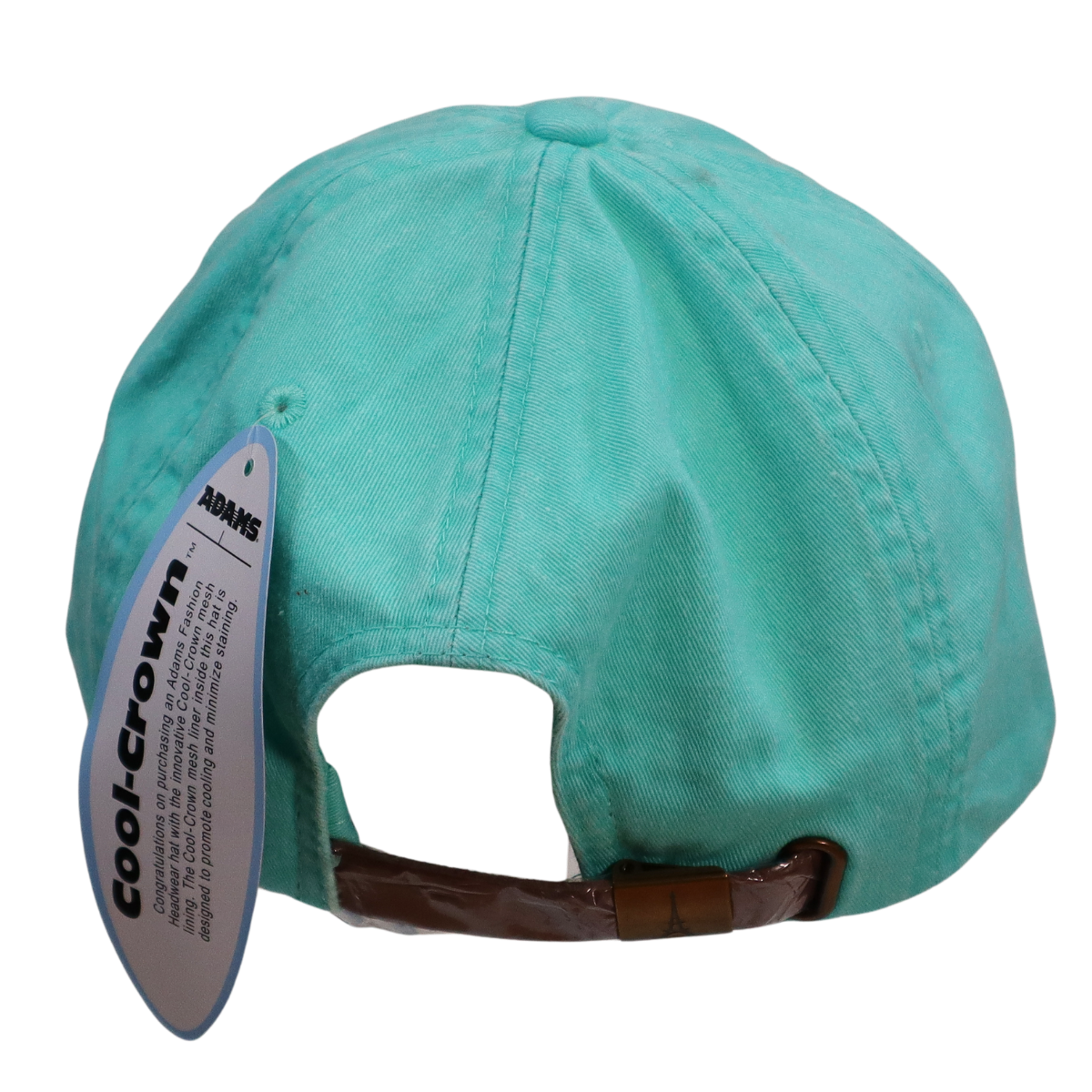 Embroidered Hat * Pride Progress Flag * Seafoam