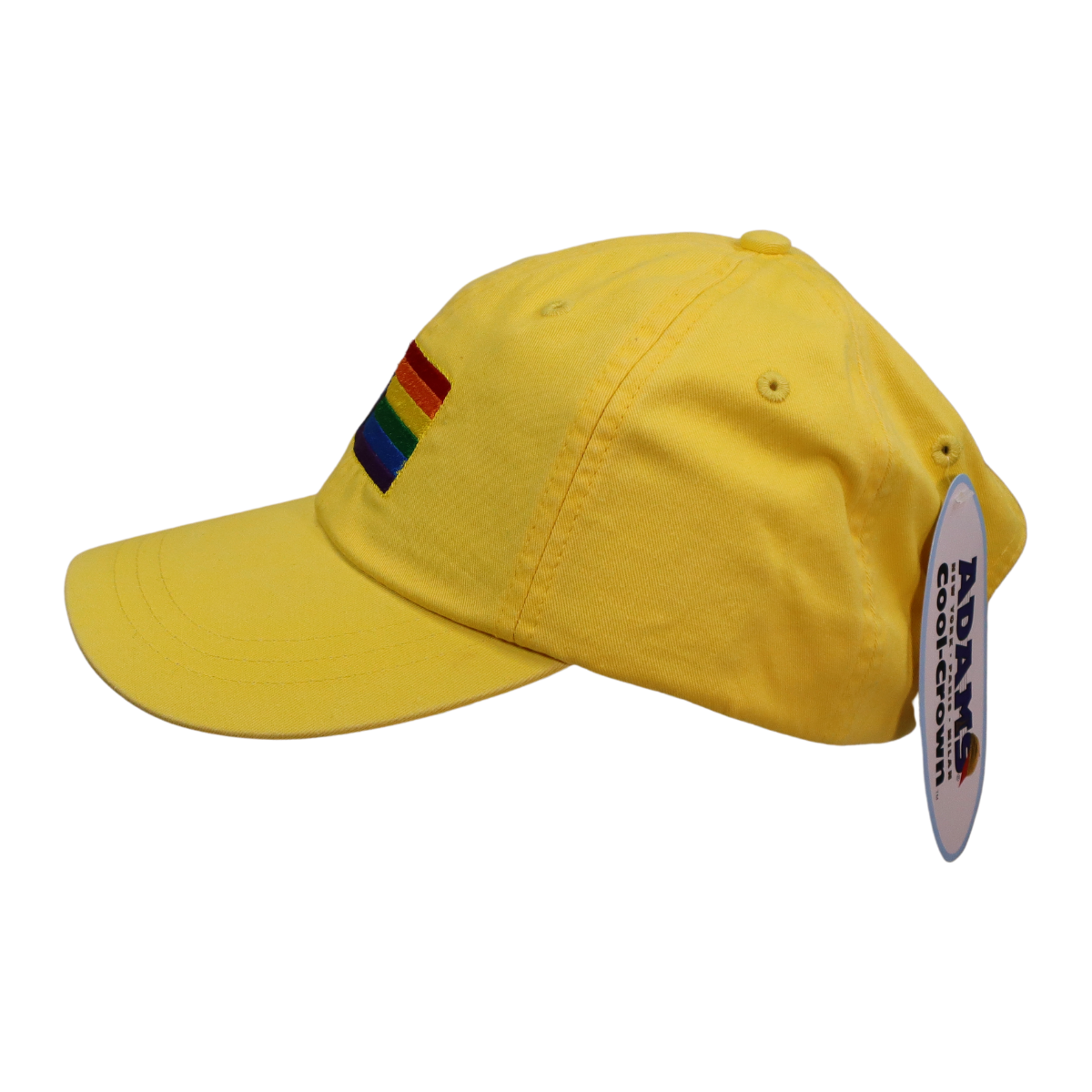 Embroidered Hat * Pride Progress Flag * Lemon