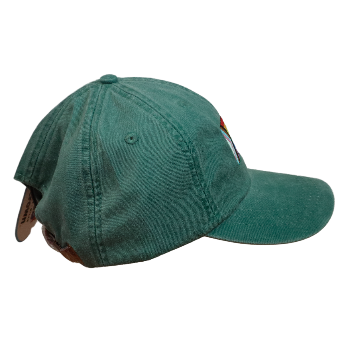 Embroidered Hat * Pride Progress Flag * Forest Green