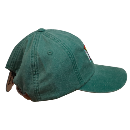 Embroidered Hat * Pride Progress Flag * Forest Green